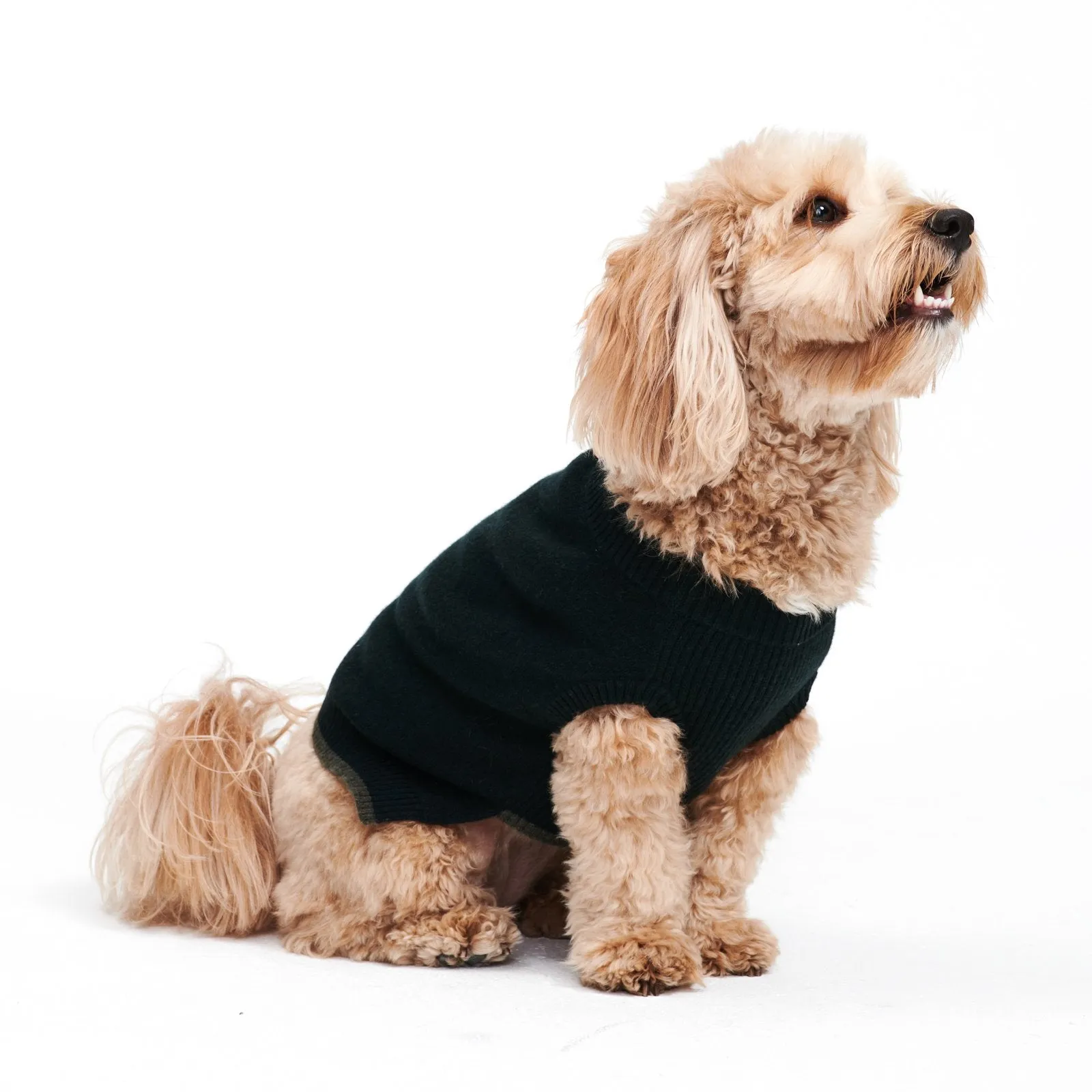 Cashmere Holiday Dog Sweater