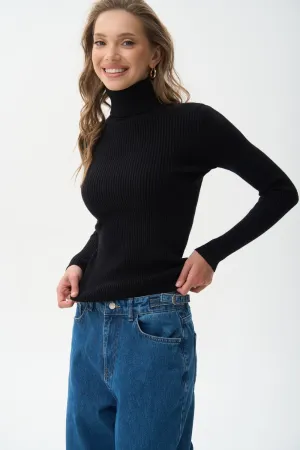 Ribbed turtleneck sweater in color black